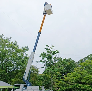 ④